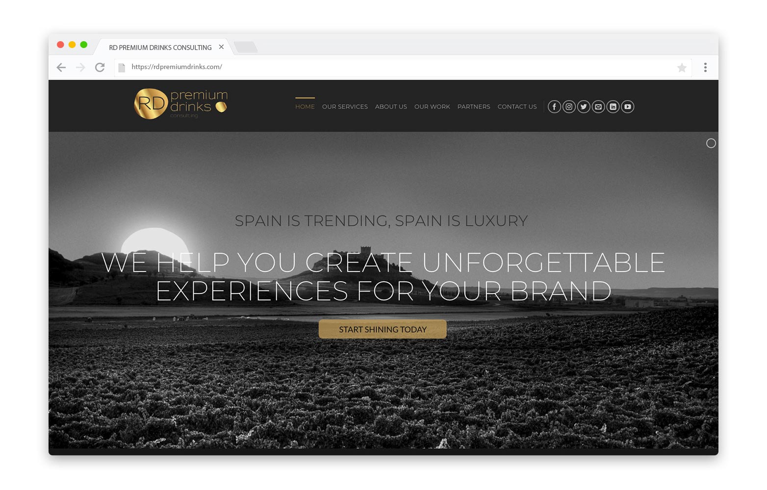 RD PREMIUM DRINKS - Diseño Web - alQuimia Publicidad - Valladolid