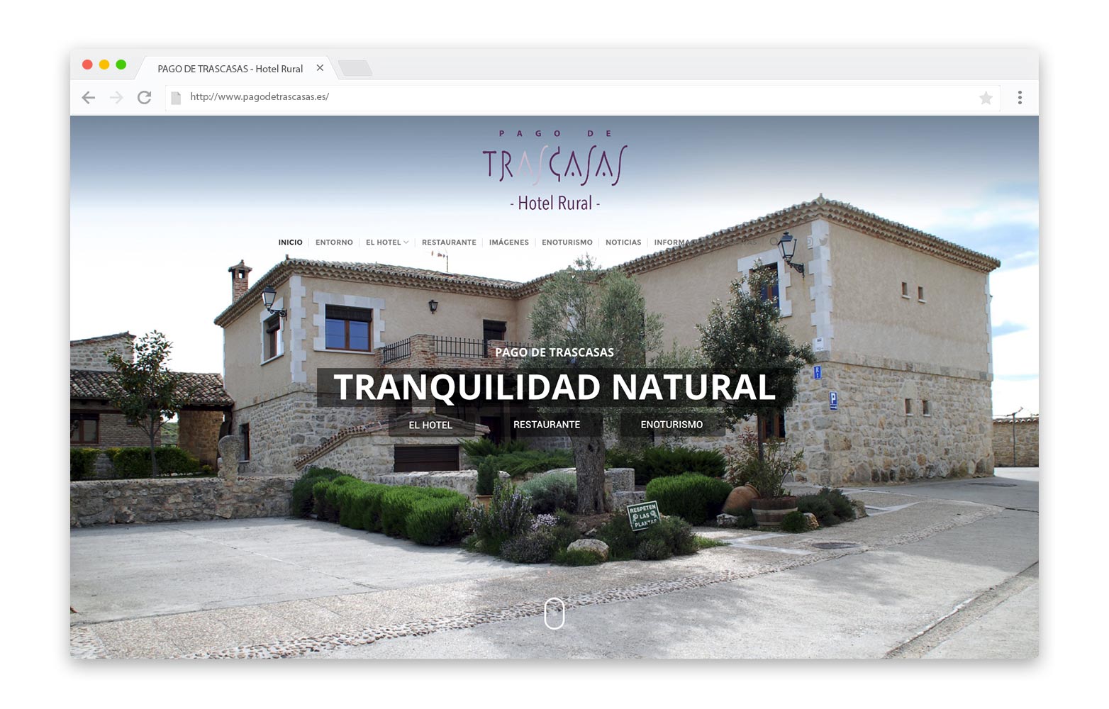 PAGO DE TRASCASAS - Diseño Web - alQuimia Publicidad - Valladolid