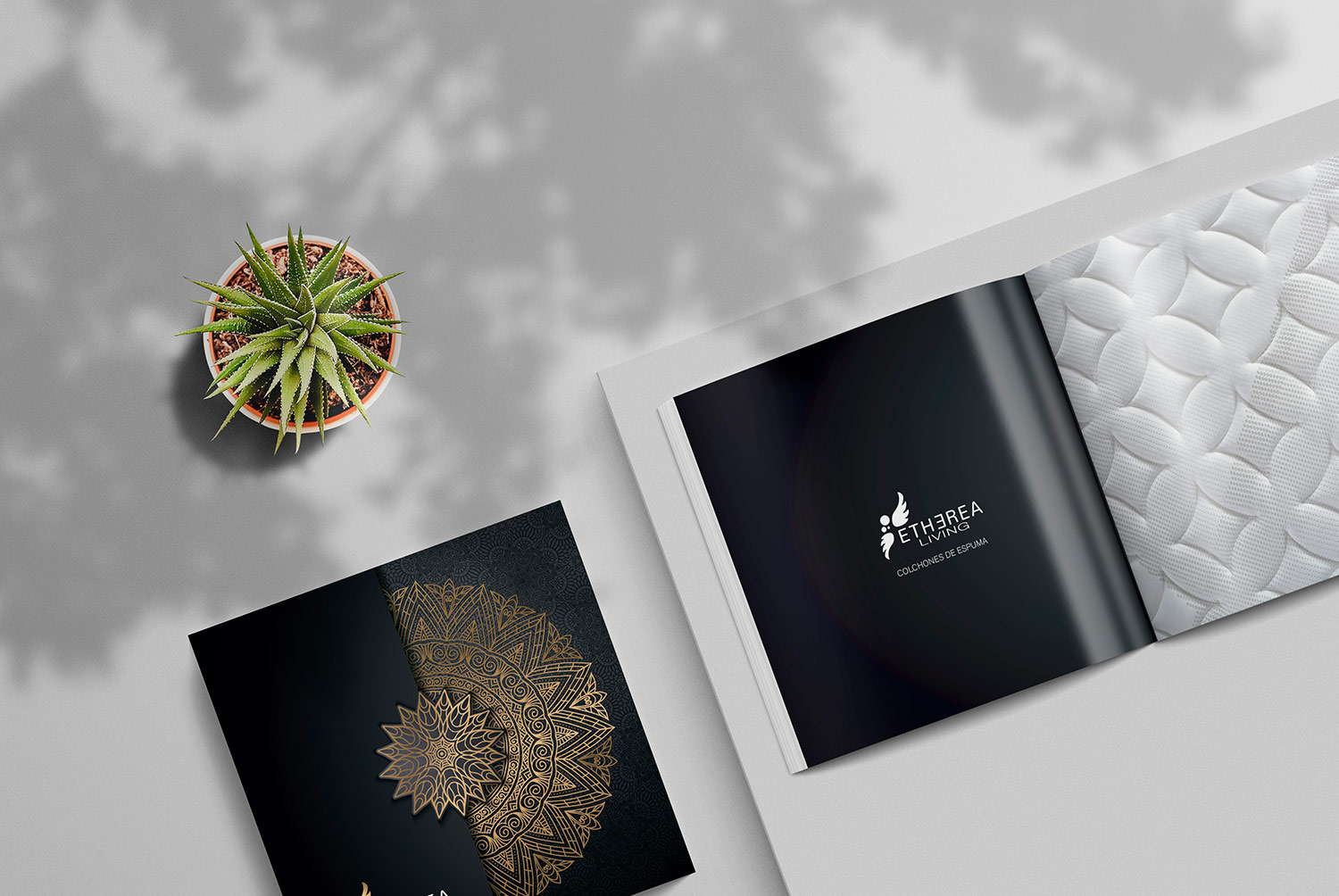 Etherea Living - Diseño Gráfico - alQuimia Publicidad - Valladolid