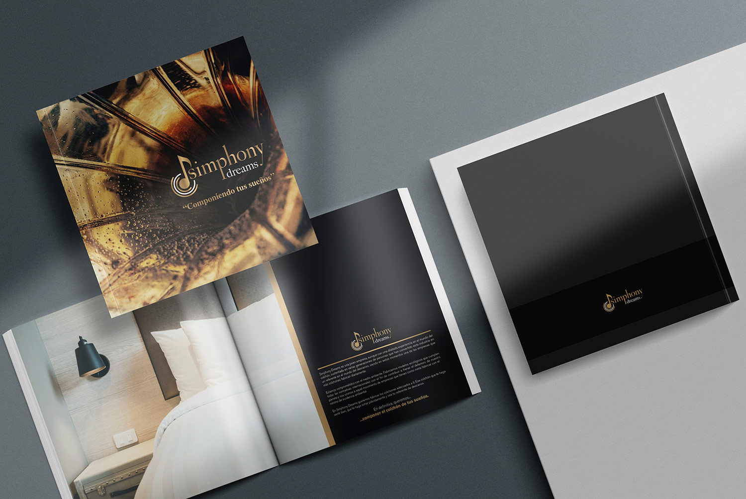 Simphony Dreams - Diseño Gráfico - alQuimia Publicidad - Valladolid