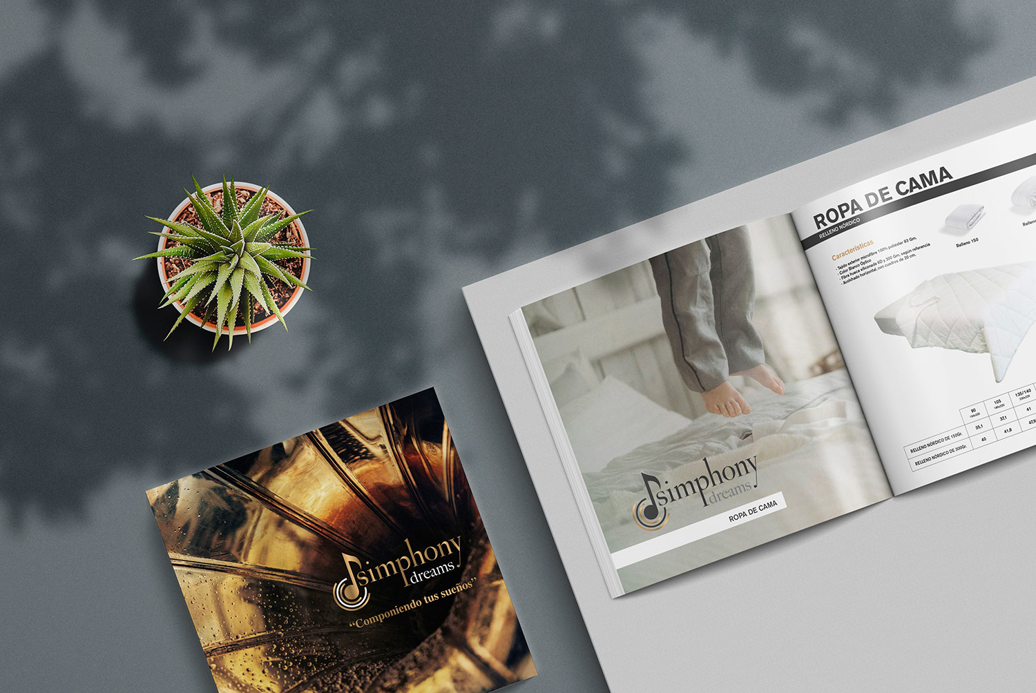 Simphony Dreams - Diseño Gráfico - alQuimia Publicidad - Valladolid